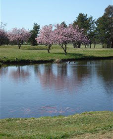 RMC Golf Club - Sunshine Coast Tourism 0