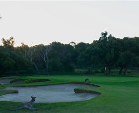 Anglesea Golf Club - Sunshine Coast Tourism 8