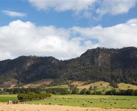Cobark NSW Sunshine Coast Tourism