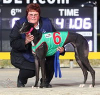 Bulli Greyhound Racing Club - Sunshine Coast Tourism