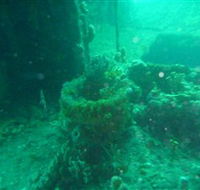 Wallaroo Scuba Club - Sunshine Coast Tourism