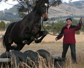 Kings Creek Saddle Club - Sunshine Coast Tourism 5