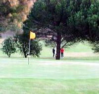 Meningie Lake Albert Golf Club - Sunshine Coast Tourism