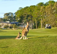 Sanctuary Cove Golf and Country Club - Sunshine Coast Tourism