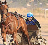 Ballarat  District Trotting Club - Sunshine Coast Tourism