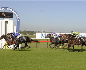 Kembla Heights NSW Sunshine Coast Tourism