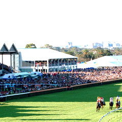Morphettville SA Sunshine Coast Tourism
