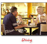 Steelers Club - Holiday Sunshine Coast