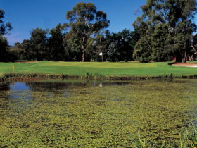Riverside Golf Club Ltd - Sunshine Coast Tourism 0