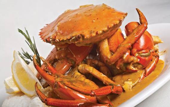 Crib Point VIC Sunshine Coast Tourism