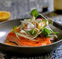 Arbory Bar and Eatery - Holiday Sunshine Coast