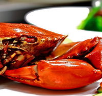 Newquay International Buffet - Sunshine Coast Tourism