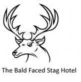 Bald Faced Stag - Holiday Sunshine Coast 0