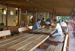 Jamison Hotel - Sunshine Coast Tourism 0