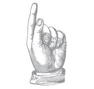 The Standard - Sunshine Coast Tourism