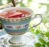 Gin Garden - Sunshine Coast Tourism 0