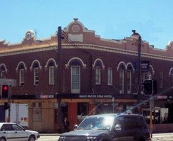 Bald Faced Stag - Holiday Sunshine Coast 1
