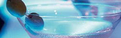 Bar77Grace - Sunshine Coast Tourism 1