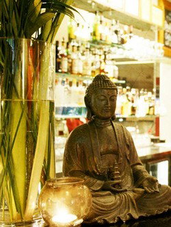 Cat And Fiddle Hotel - Sunshine Coast Tourism 2