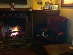 Royal Cricketers Arms - Sunshine Coast Tourism 2