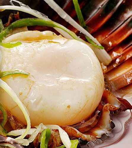 Golden Century Seafood Restaurant - Sunshine Coast Tourism 2