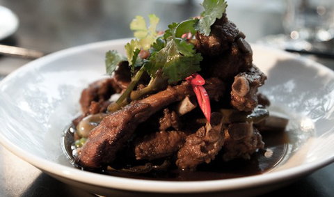 Red Lantern - Sunshine Coast Tourism 1