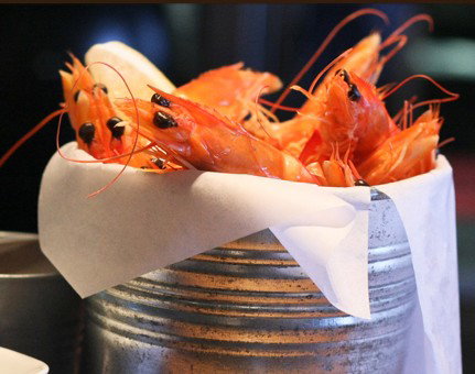 Barbuto - Sunshine Coast Tourism 4