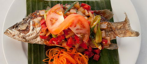The Thai And I - Sunshine Coast Tourism 2