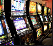 Buff Club - Sunshine Coast Tourism 1