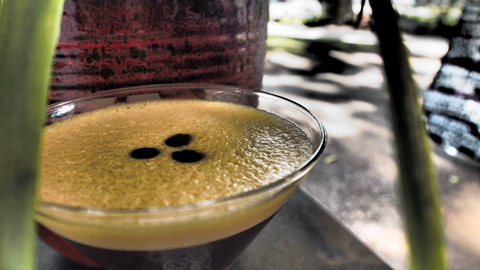 Viva La Vida Wine & Tapas Bar - Sunshine Coast Tourism 2