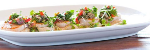 La Repubblica - Sunshine Coast Tourism 0