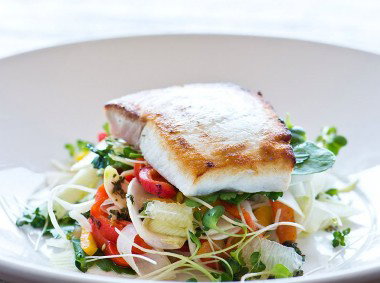 La Repubblica - Sunshine Coast Tourism 4