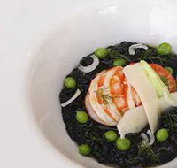 finefish - Sunshine Coast Tourism