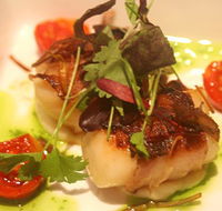 Sealevel Restaurant - Sunshine Coast Tourism