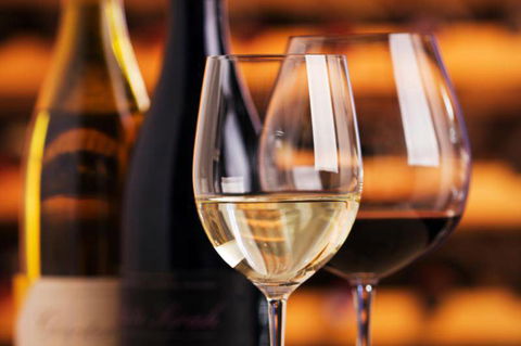 Oak Flats Cellars - Sunshine Coast Tourism 2