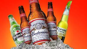 Figtree Cellars - Sunshine Coast Tourism 4