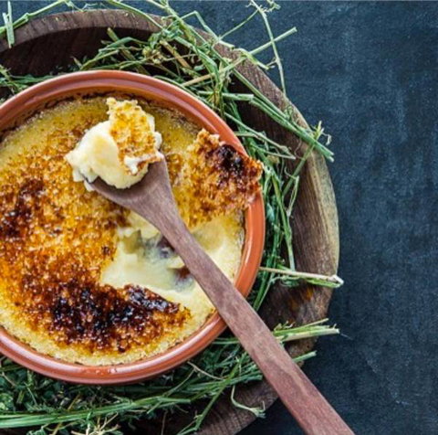 Bistro Officina - Holiday Sunshine Coast 3