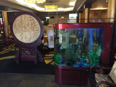 Dragon Palace - Holiday Sunshine Coast 4