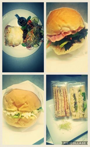 The Old Tea House - Holiday Sunshine Coast 2