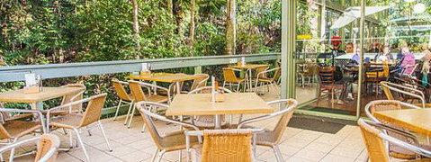 Rainforest Cafe (Sea Acres) - Sunshine Coast Tourism 1