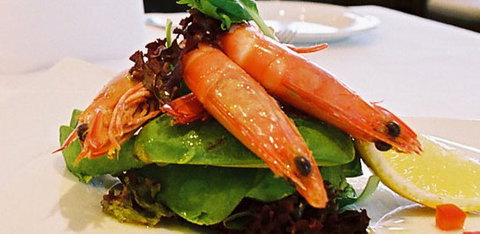 Bayblu - Sunshine Coast Tourism 1