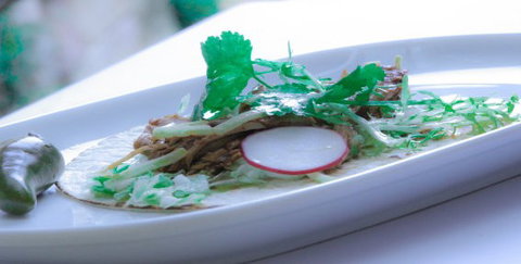 Pepino's Mexican Restaurant - Holiday Sunshine Coast 2