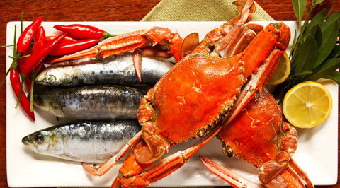 Bar Tino Restaurant - Sunshine Coast Tourism 1