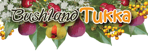 Bushland Tukka Cafe  Catering - Sunshine Coast Tourism