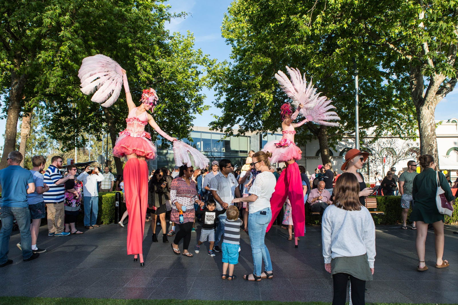 Downside NSW Sunshine Coast Tourism