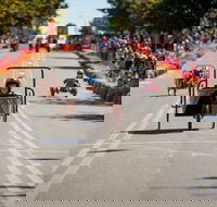 Australian Billy Cart Championships - Holiday Sunshine Coast