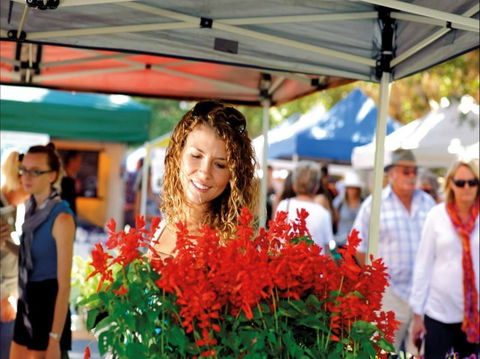 Ballina Missingham Farmers Market - Sunshine Coast Tourism 0