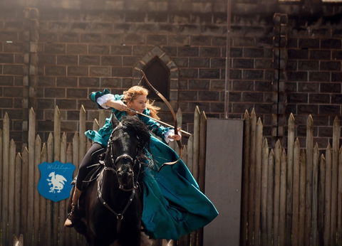 Baroque Horse Festival - Sunshine Coast Tourism 0
