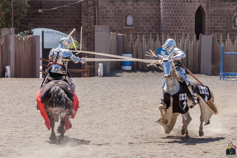Baroque Horse Festival - Sunshine Coast Tourism 2