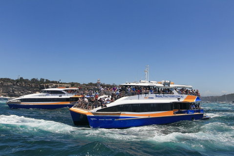Boxing Day Cruise - Sydney To Hobart Yacht Race - Holiday Sunshine Coast 1